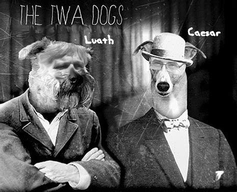  Twa Dogs - En lekfull bild av det kinesiska vardagslivet i 1:a århundradet